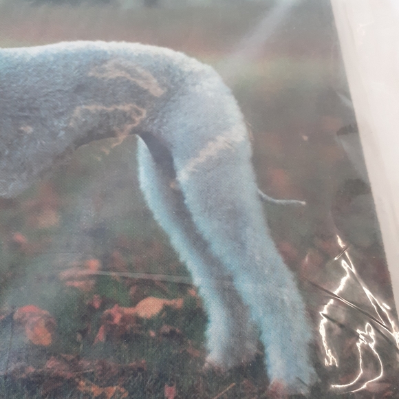 Sold Out Not For Sale - Picture 5 of 5